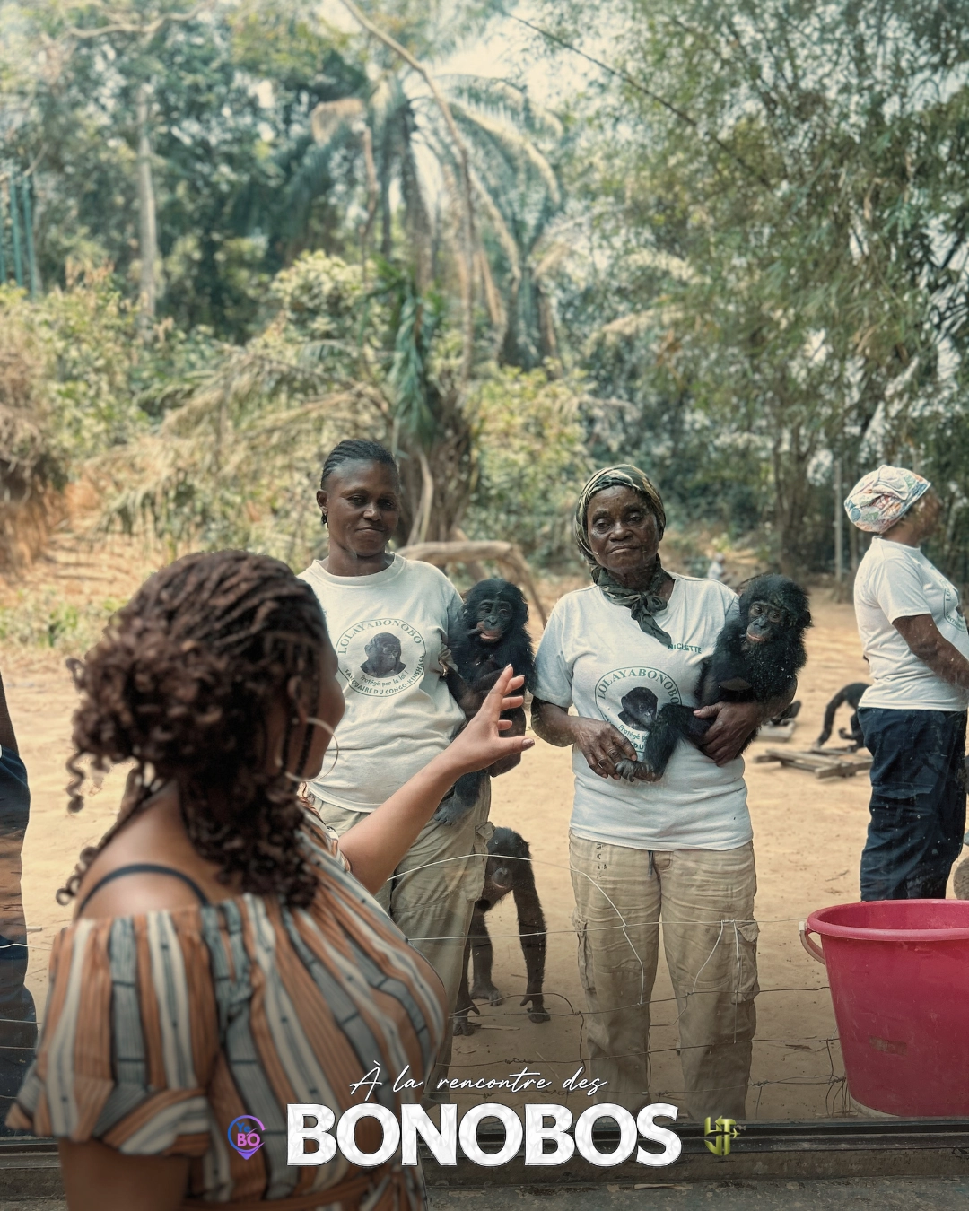 DRC Travel Meet 2026 : YosuTravels entre innovation, rencontres et découverte des bonobos