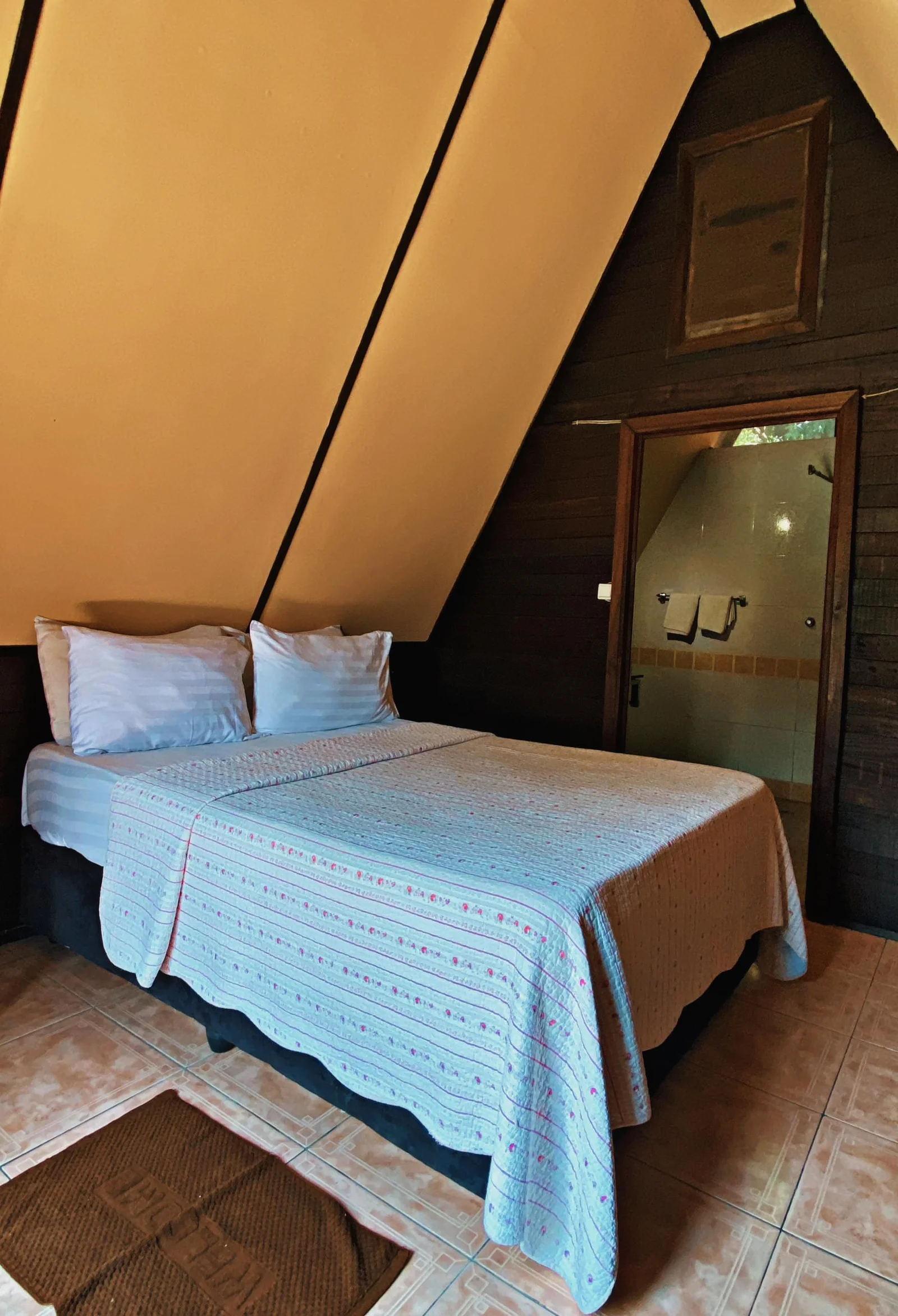 # J-1 avant notre excursion à Zongo