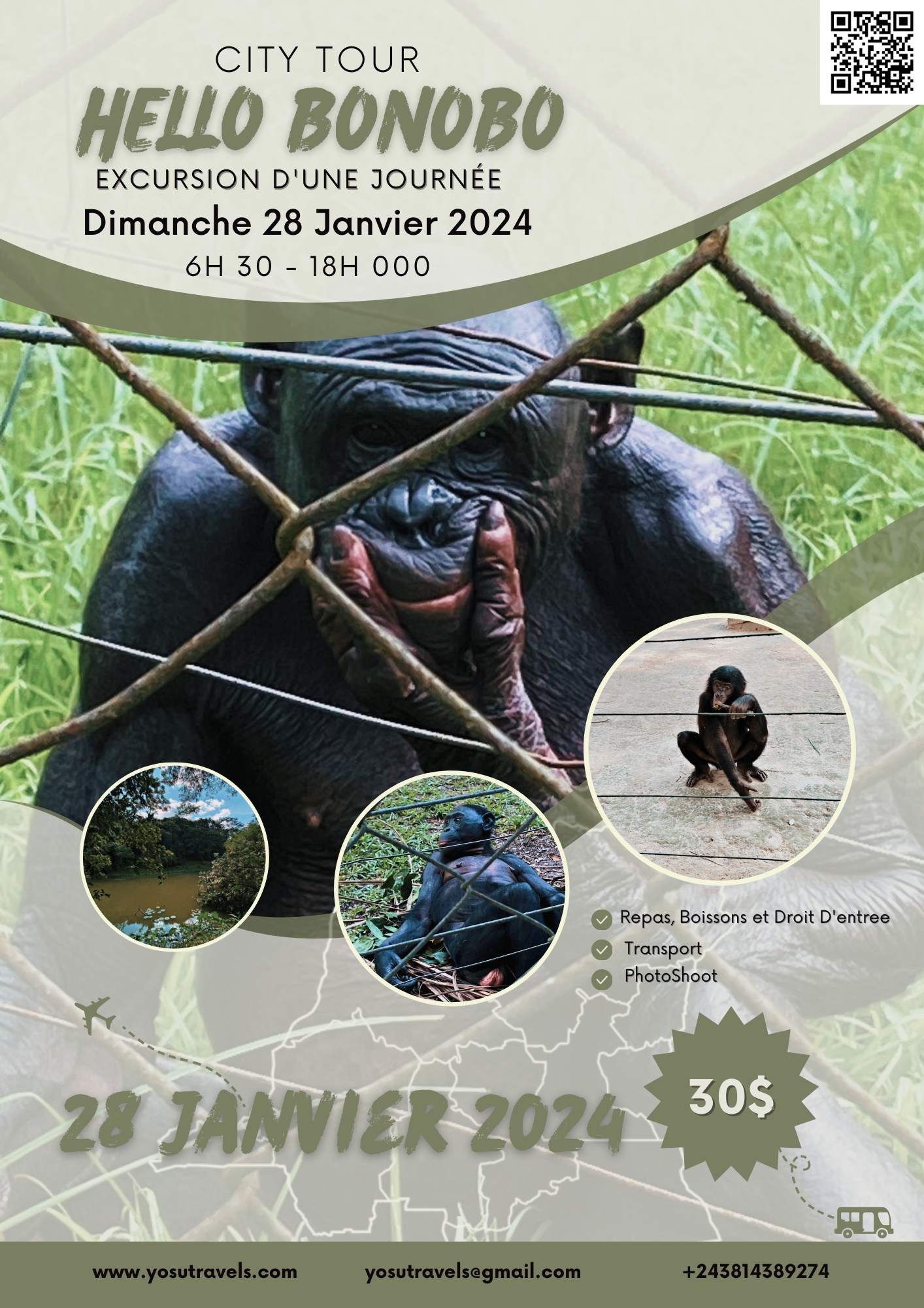 Hello Bonobo