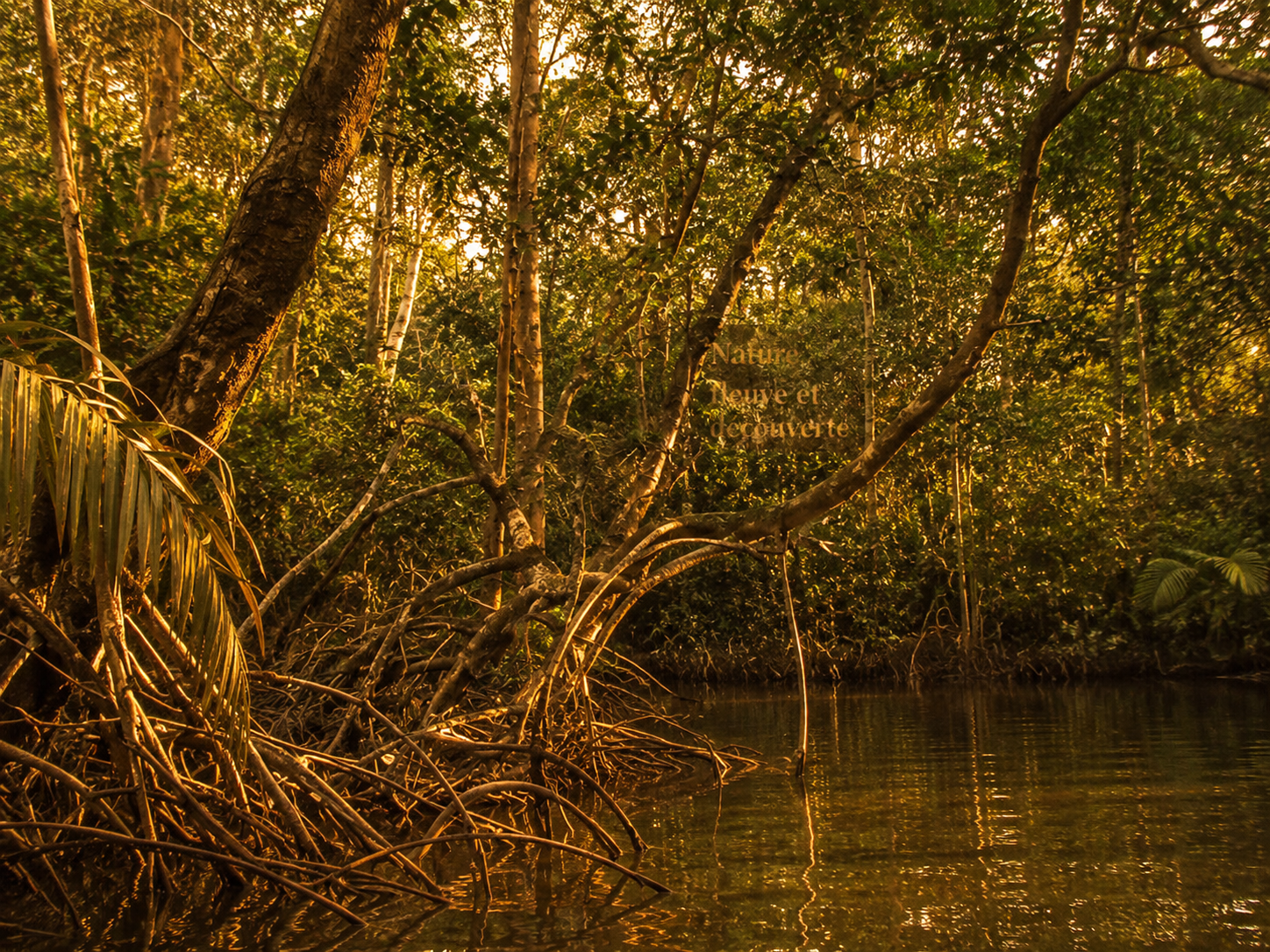 Nature fleuve et découverte