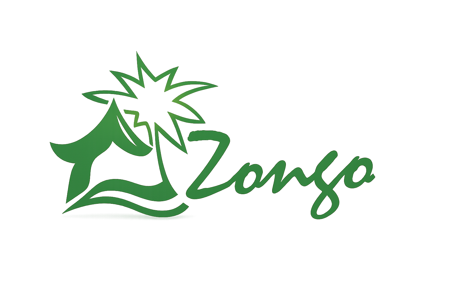Seli Safari Zongo