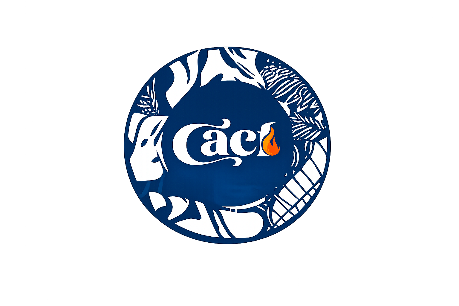 Central Africa Créative Forum